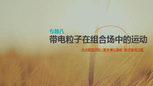 2018高考物理大一轮复习方案课件：专题八 带电粒子在组合场中的运动 共78张 精品