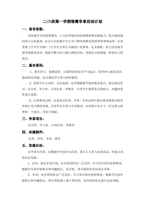 雏鹰争章计划