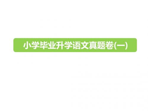 六年级下册语文教学课件-2019小升初真题卷(一)｜全国通用  (共25张ppt)