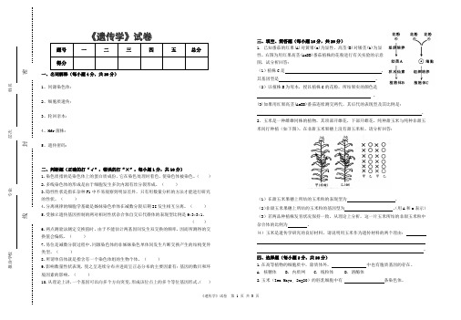 《遗传学》试卷与参考答案