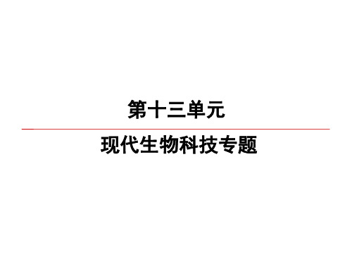 2020高考生物一轮复习课件：第13单元 第3讲 植物细胞工程