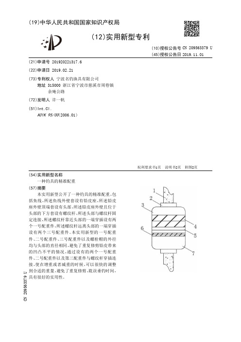 【CN209563379U】一种钓具的精准配重【专利】