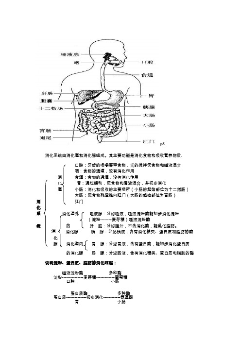 七年级下册生物图66015