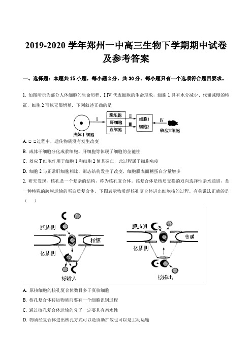 2019-2020学年郑州一中高三生物下学期期中试卷及参考答案