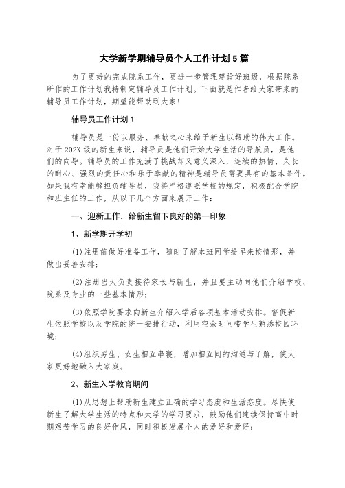 大学新学期辅导员个人工作计划5篇