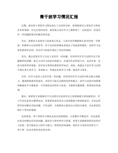 青干班学习情况汇报