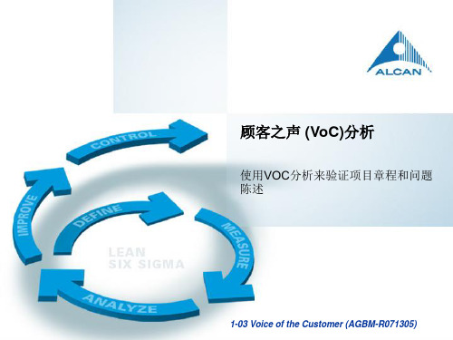 1-03 顾客之声分析-Voice of the Customer 