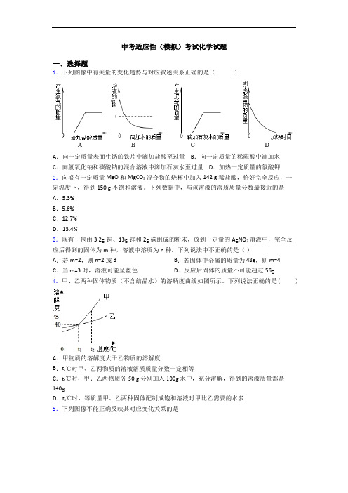 中考适应性(模拟)考试化学试题