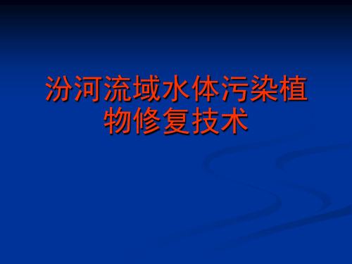 汾河流域水体污染植物修复技术.ppt