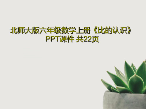 北师大版六年级数学上册《比的认识》PPT课件 共22页共24页文档