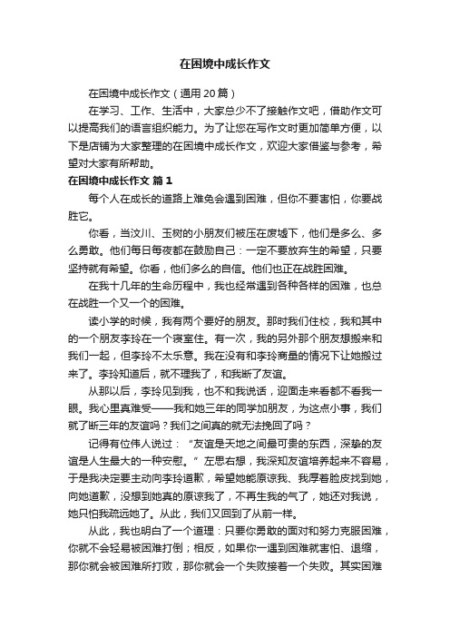 在困境中成长作文