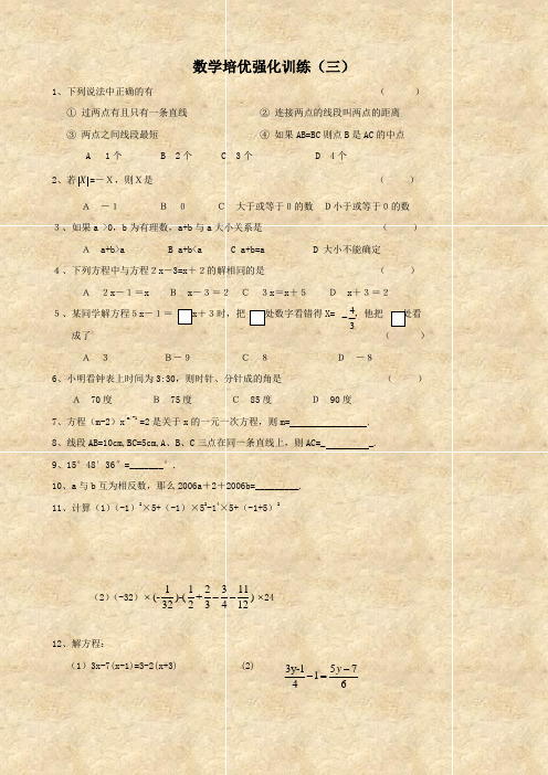 数学：期末培优强化训练(人教版七年级下)3