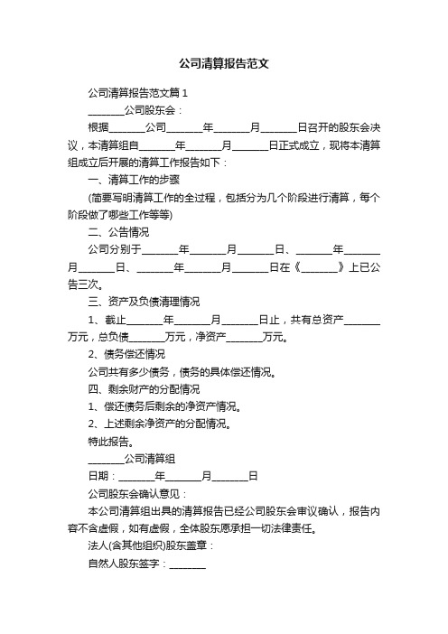 公司清算报告范文