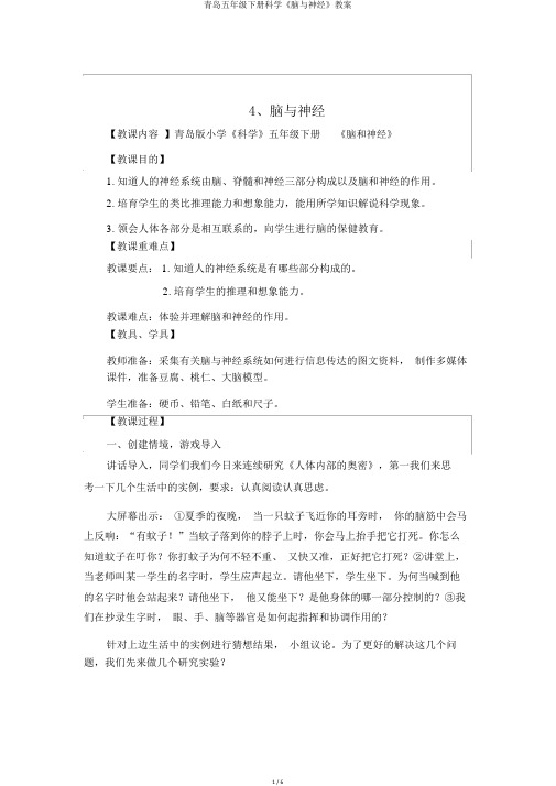 青岛五年级下册科学《脑与神经》教案