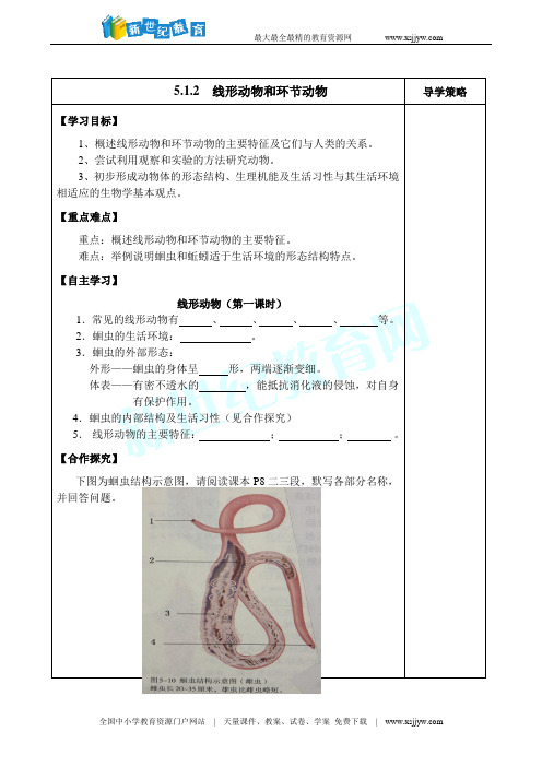 5.1.2线形动物和环节动物