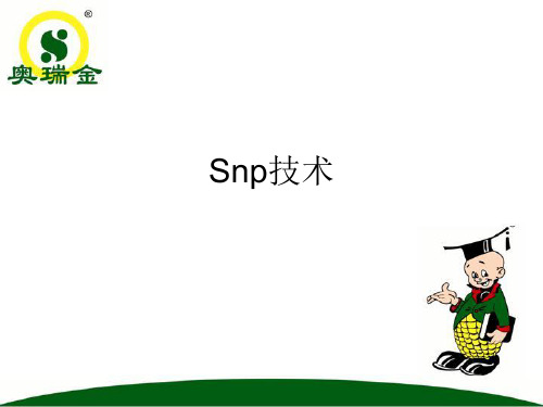 snp技术