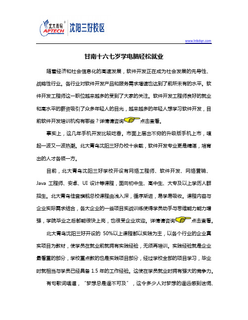 十六七岁学电脑轻松就业