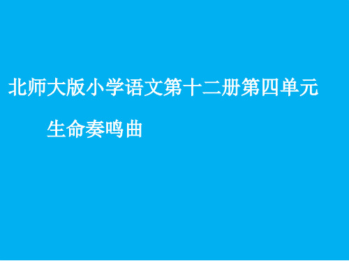 北师大版六年级语文下册《 生命  生命奏鸣曲》公开课课件_3