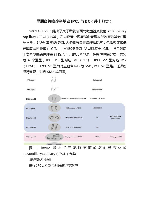 早期食管癌诊断基础IPCL与BC（井上分类）