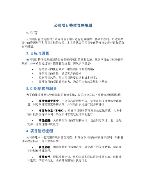 公司项目整体管理规划