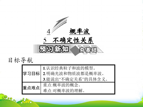 高中物理人教选修35课件：第十七章 4 概率波 5 不确定性关系