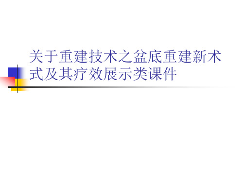 关于重建技术之盆底重建新术式及其疗效展示类课件