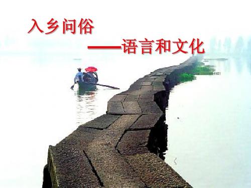 语言和文化定稿