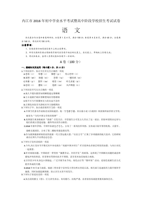 四川省内江市2016年中考语文试卷