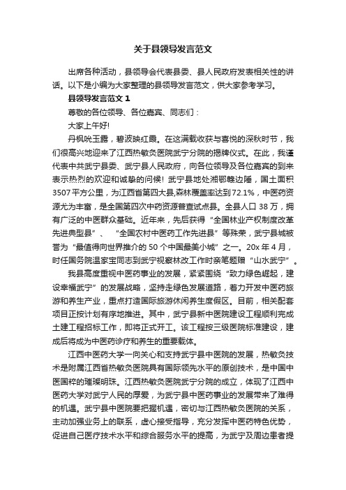 关于县领导发言范文