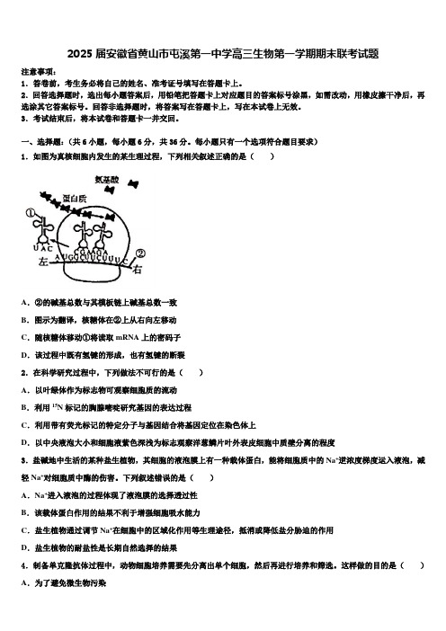 2025届安徽省黄山市屯溪第一中学高三生物第一学期期末联考试题含解析