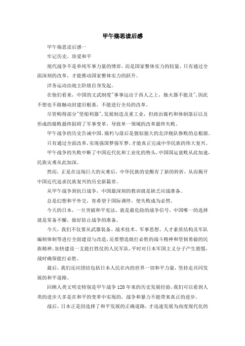 心得体会-甲午殇思读后感 精品