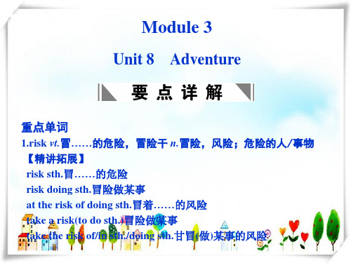 高考英语一轮复习 Unit 8 Adventure课件 北师大版必修3