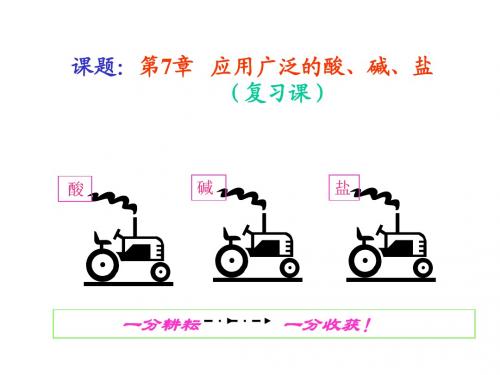 【初中化学】应用广泛的酸、碱、盐PPT课件1 沪教版