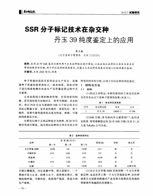 SSR分子标记技术在杂交种丹玉39纯度鉴定上的应用