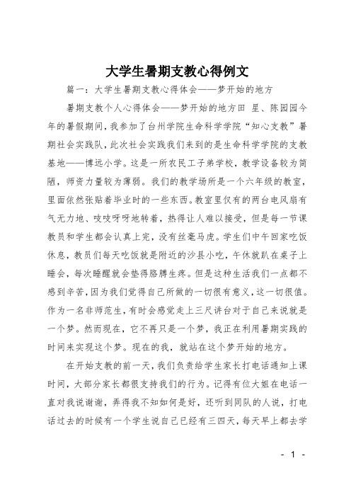 大学生暑期支教心得例文