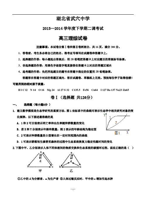 湖北省武穴中学2014届高三下学期二调考试 理综