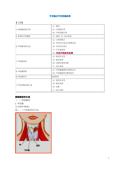 2016年普外科中级资料：甲状腺及甲状旁腺疾病(专业知识)