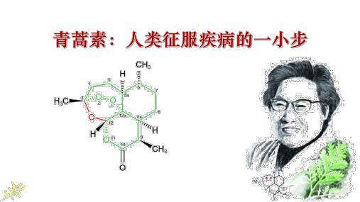 《青蒿素：人类征服疾病的一小步》PPT精品课件