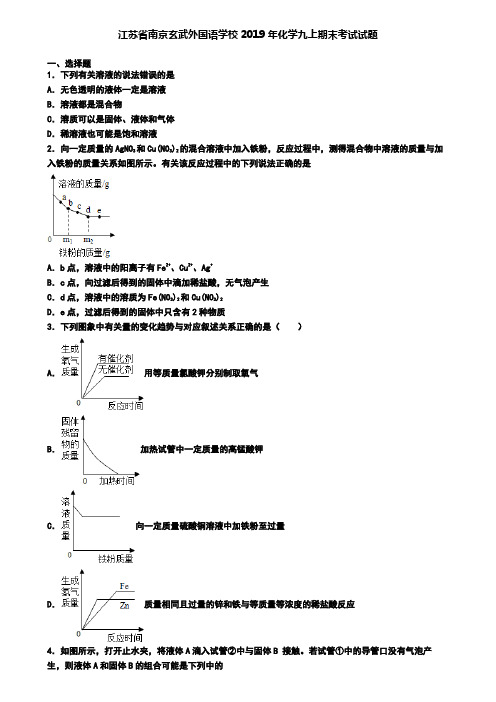 江苏省南京玄武外国语学校2019年化学九上期末考试试题