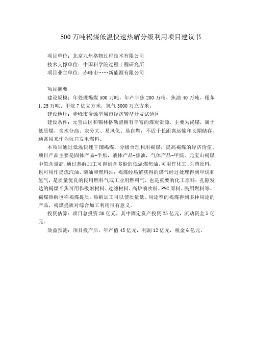 500万吨褐煤低温快速热解分级利用项目建议书