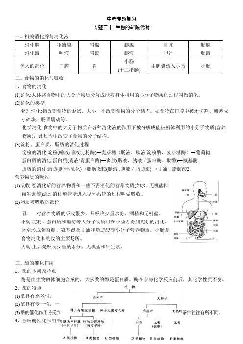 专题二十九  生物的新陈代谢—2021届九年级科学中考总复习专题讲义(生物)