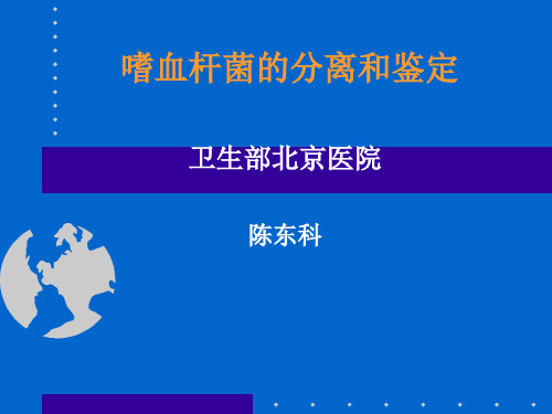 嗜血杆菌的分离与鉴定 (1)