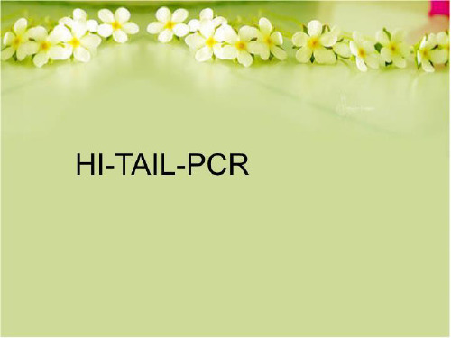 【精品】HI-TAIL-PCR完整版
