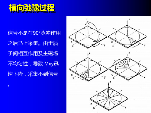 核磁共振序列简介