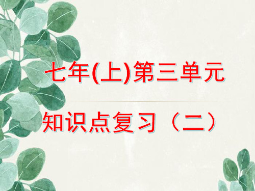 七年级生物上册第三单元复习.ppt