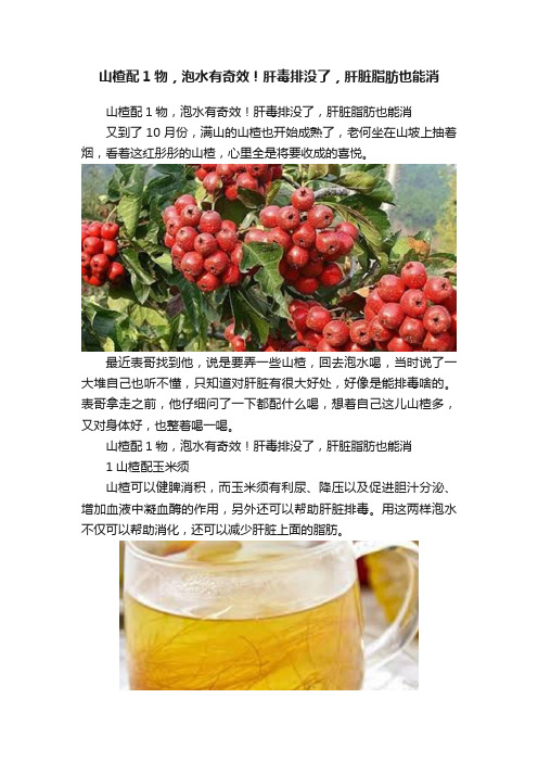 山楂配1物，泡水有奇效！肝毒排没了，肝脏脂肪也能消