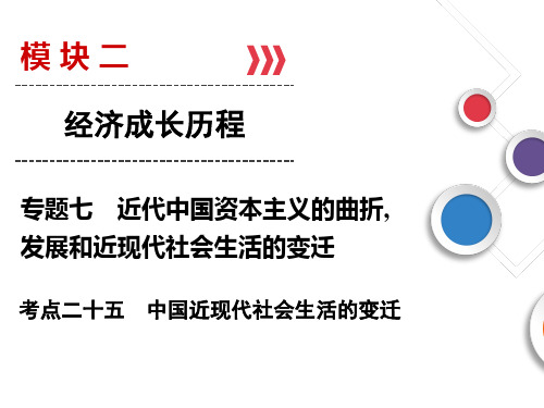 2019(人民版)高考历史总复习中国近现代社会生活的变迁最新版最新版