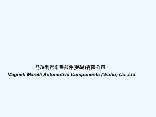 马瑞利汽车零部件(芜湖)有限公司 Magneti Marelli Aut