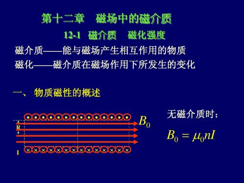 磁场中磁介质