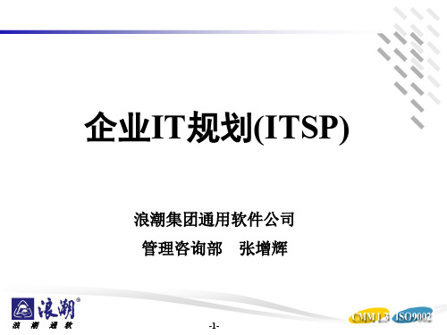 企业IT规划(ITSP)